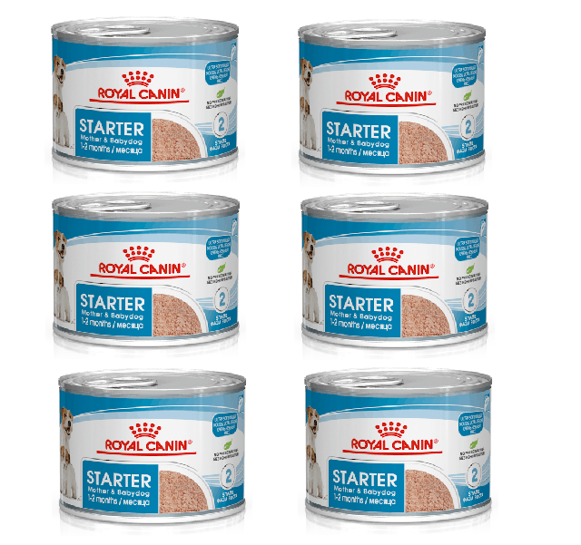 6x195g  Royal Canin Starter Mousse Mother & Babydog 6x195g  Royal Canin Starter Mousse Mother & Babydog